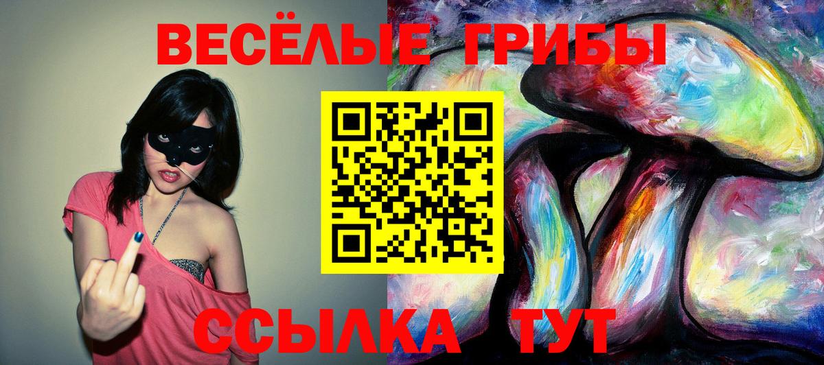 Псилоцибиновые грибы прущие грибы Стрежевой