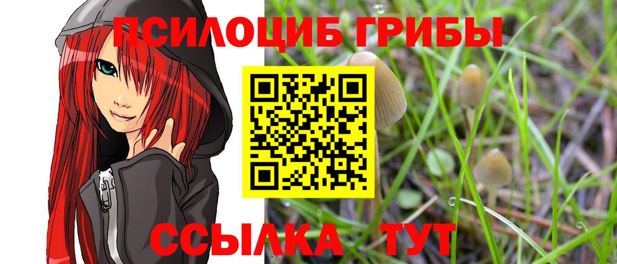 Стрежевой  Псилоцибиновые грибы прущие грибы  Вход с VPN 